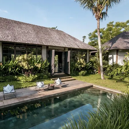 Bedulu Cliff Estate Ubud - Tree Top-3